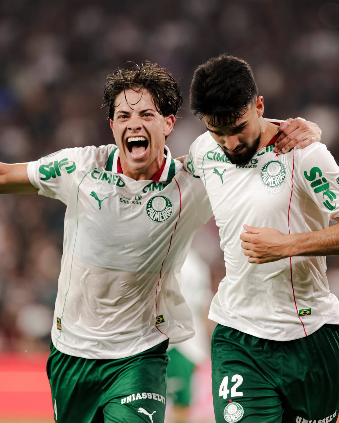 Fluminense VS Palmeiras Semifinales Libertodores 11