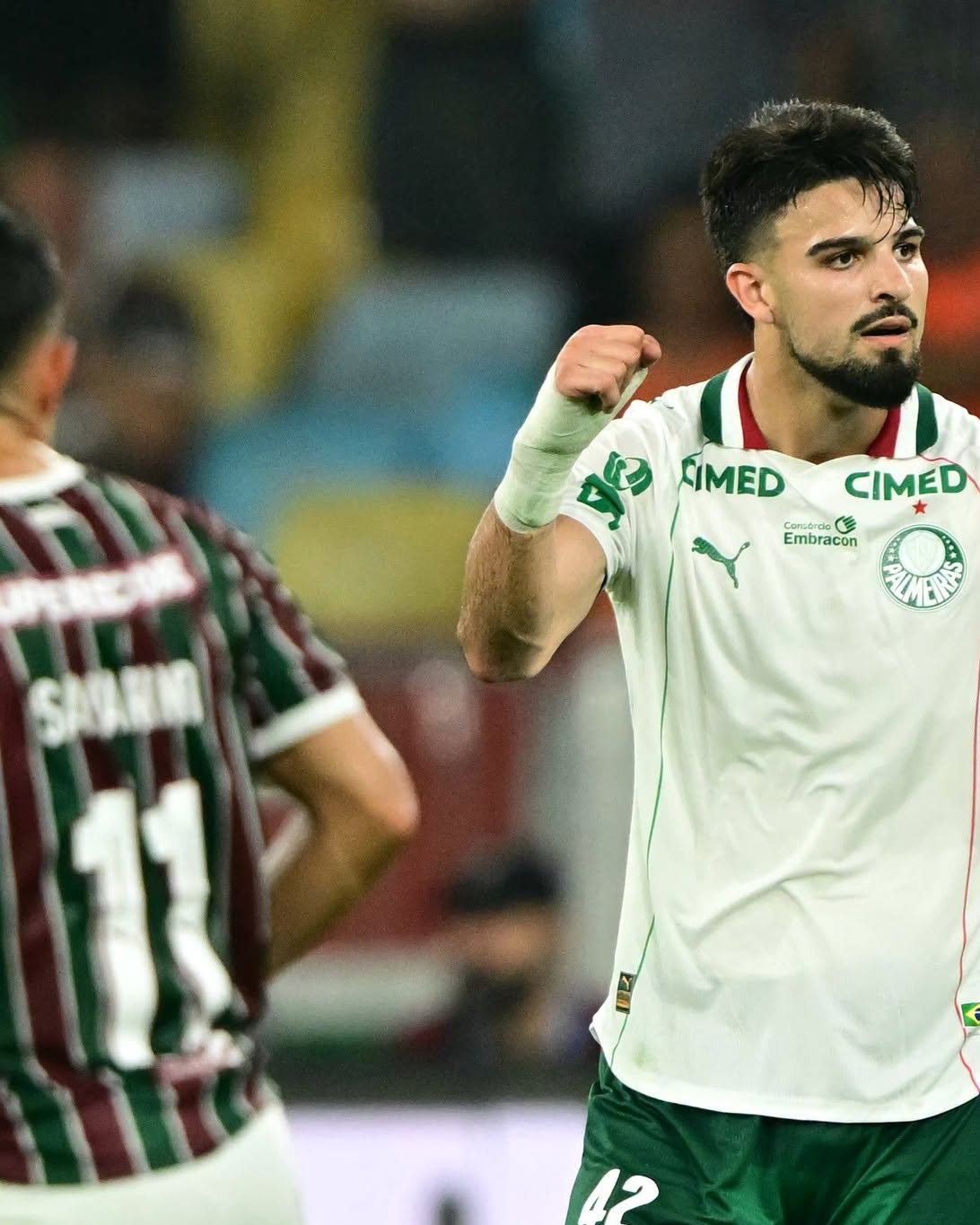 Fluminense VS Palmeiras Semifinales Libertodores 14
