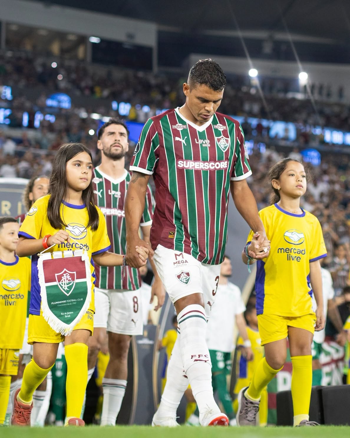 Fluminense VS Palmeiras Semifinales Libertodores 7